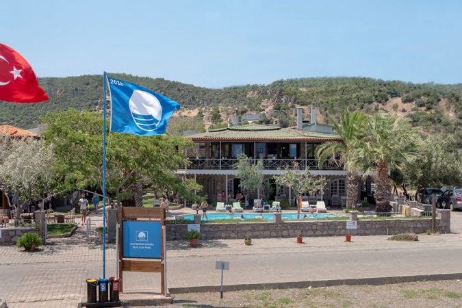 Genel Görünüm