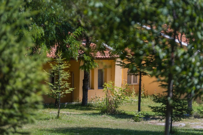Genel Görünüm