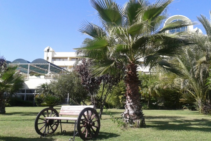 Genel Görünüm