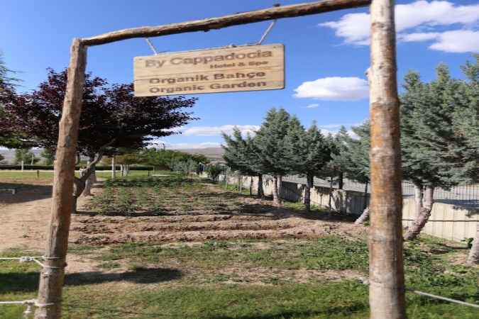 Genel Görünüm