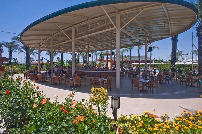 Cafe