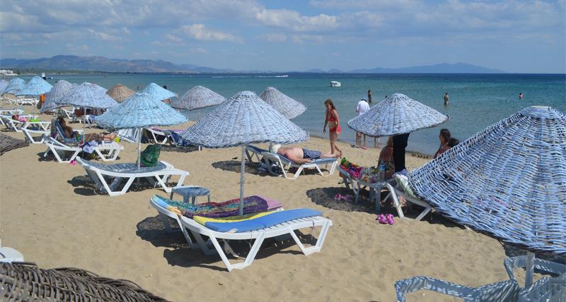 Genel Görünüm
