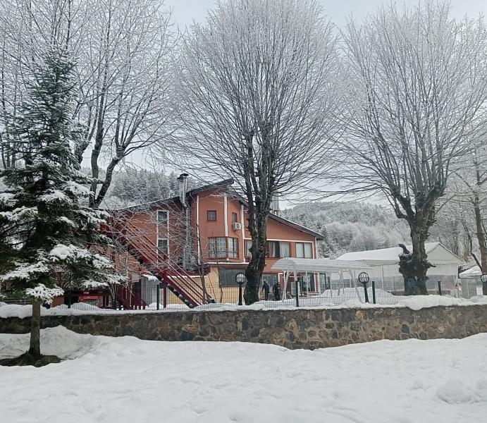 Genel Görünüm