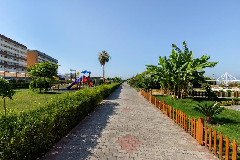 Genel Görünüm