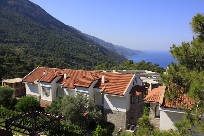 Genel Görünüm