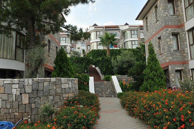 Genel Görünüm