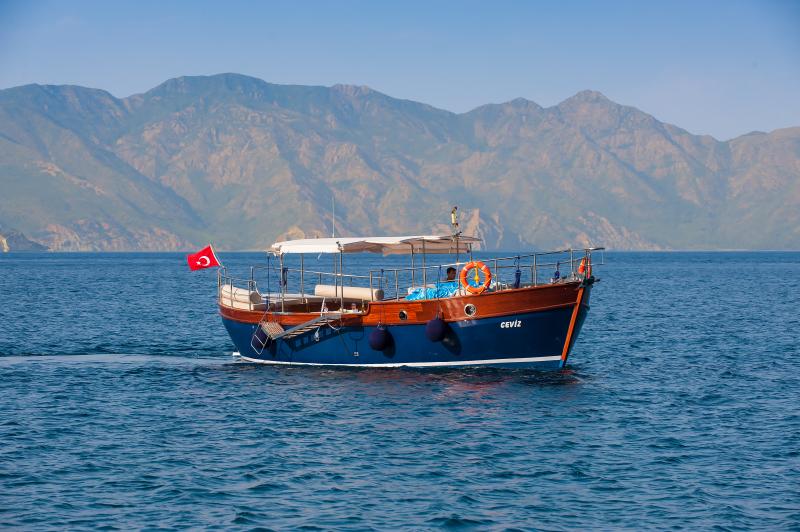 Genel Görünüm