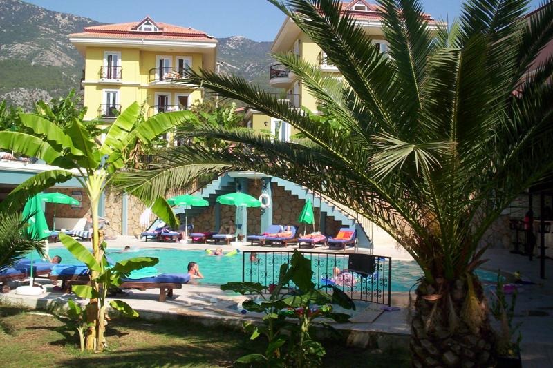 Genel Görünüm