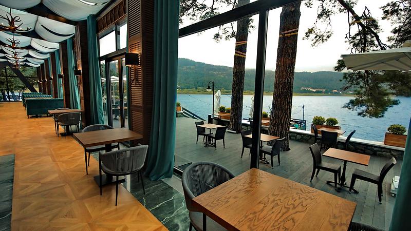 Cafe