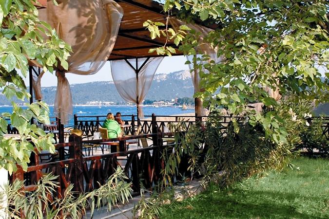 Cafe