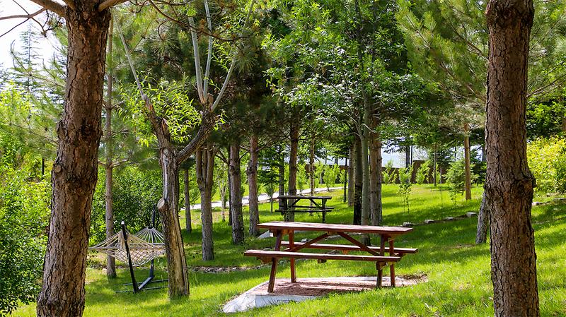 Dinlenme Alanı