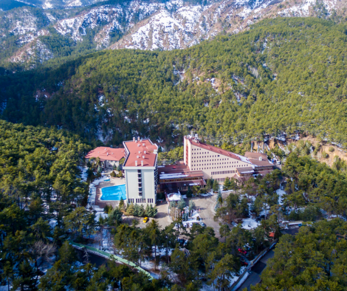 Genel Görünüm