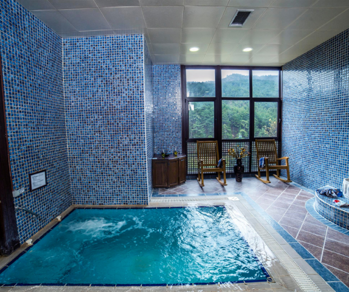 VIP Salonu